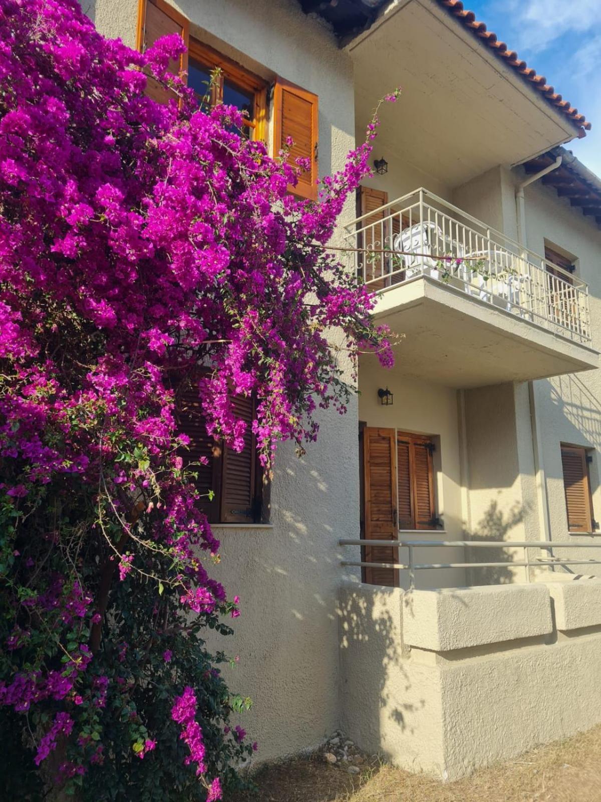 Long Summer Sívota Dış mekan fotoğraf